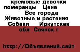 кремовые девочки померанцы › Цена ­ 30 000 - Все города Животные и растения » Собаки   . Иркутская обл.,Саянск г.